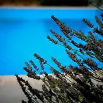 Girolomoni - Farm stay